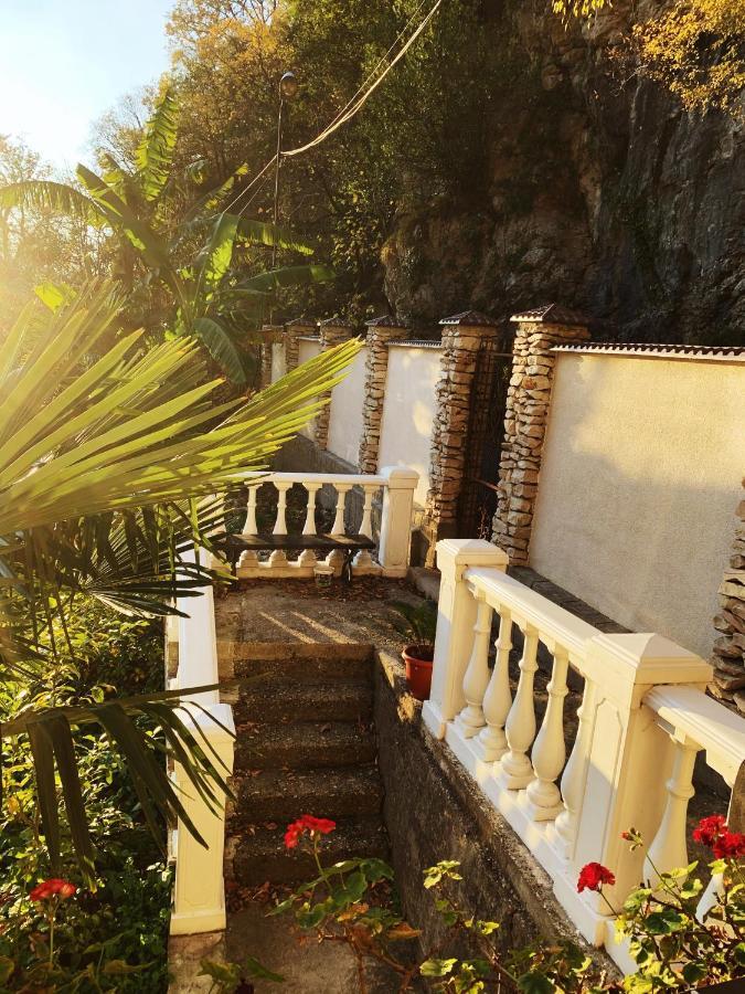 Guest House Chalet Agave Gagra Luaran gambar