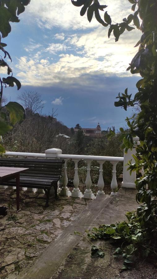 Guest House Chalet Agave Gagra Luaran gambar